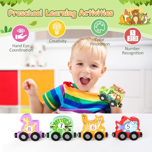 Zeoddler Toys for Toddlers, 11 Magnetic Wooden Animals Train Set, Montessori Toys for Toddlers, Learning Activities, Sensory Toys for Kids, Birthday Gifts for Boys, Girls Zeoddler
