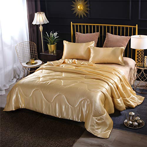 NTBED Sexy Silky Satin Comforter Sets Queen Golden Lightweight Soft Luxury Quilt 3-Pieces Microfiber Bedding Set Yellow (Gold, Queen) NTBED