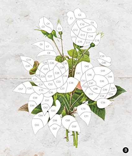 Brain Games - Sticker by Number - Vintage: Flowers (28 Images to Sticker) WoodArtSupply