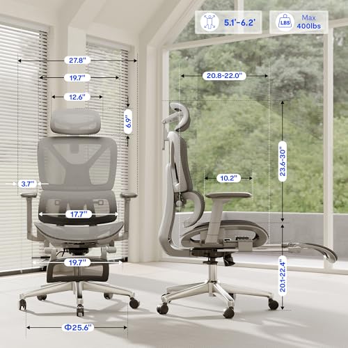 FLEXISPOT ErgoX Premium Ergonomic Office Chair with Footrest- Adjustable 3D Armrests, Dynamic Lumbar Support, Recline & Tilt Function, Mesh Seat, for Home & Office Use,Light Grey FLEXISPOT
