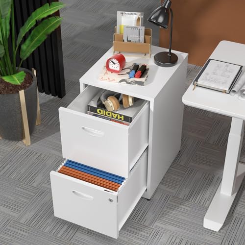 2 Drawer File Cabinet with Lock, Two Drawer Vertical Filing Cabinets, 18" Deep Steel Filing Cabinet for Home Office, Light Duty Metal White Filing Cabinet for Letter-Size Files - Assemly Required MetalMax