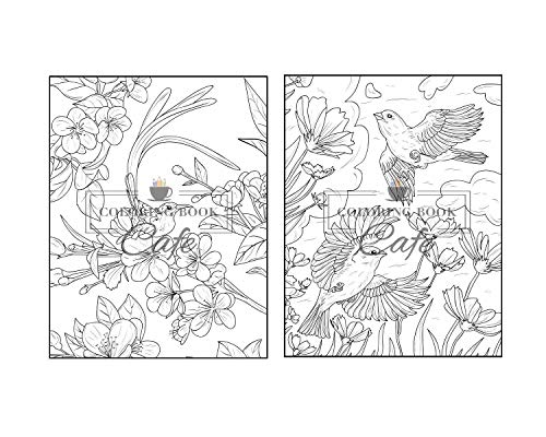 Songbirds Coloring Book: An Adult Coloring Book Featuring Beautiful Songbirds, Exquisite Flowers and Relaxing Nature Scenes Majosta