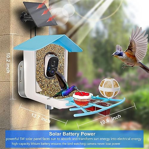 Kadymay Smart Bird Feeder with Camera Solar Powered, 1080P HD Live Video &Playback on Phone, AI Identify +10,000 Bird Species, 2.4G WiFi Bird Feeder Kadymay