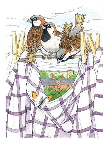 Creative Haven Glorious Songbirds Coloring Book (Adult Coloring Books: Animals) WoodArtSupply