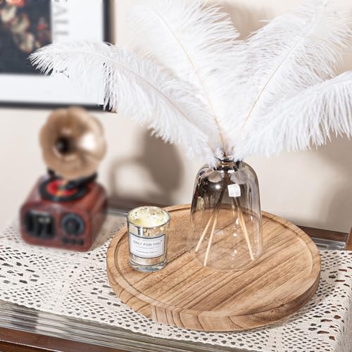 Wood Lazy Susan Organizer Kitchen Turntable for Cabinet Farmhouse Bathroom Decor Round Decorative Tray for Vanity, Counter, Sink, Coffee Table, 10 Inch, Brown zoocatia