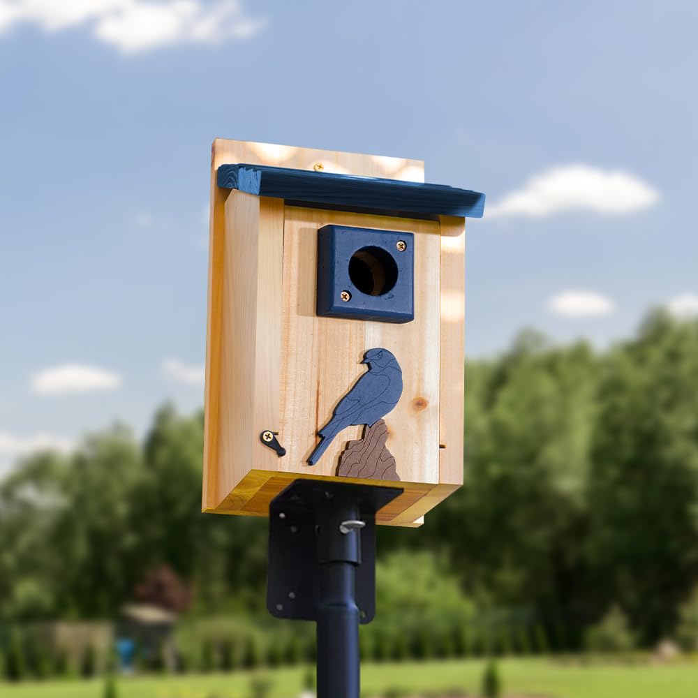Cedar Alpha 2pc Bluebird Houses Nesting Box - XL Size 13" Heavy Duty Birdhouses for Outside - Wall Tree Pole Mountable - 1.5” Hole 13/16" Thickness - Large Inside Space - Tree Tie Bending Updated CEDAR ALPHA