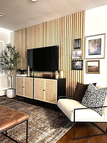 Nathan James Accent Boho Modern Free Standing Buffet Sideboard Hallway, Entryway, Dining Living Room, 1 Storage Cabinet, Black Oak/Cane Nathan James