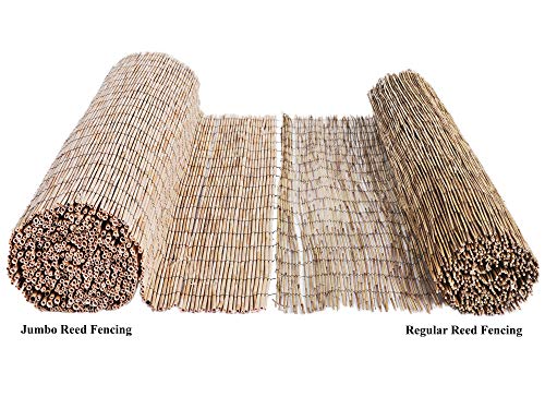 FOREVER BAMBOO Jumbo Reed Bamboo Screen Fencing Privacy Fence Backyard Divider Decorative Reed Garden Fencing, Natural 6 ft H x 16 ft L FOREVER BAMBOO