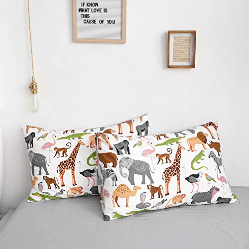 BlueBlue Safari Kids Duvet Cover Set Queen, 100% Cotton Bedding for Boys Girls Teens Lion Elephant Rhino Giraffe Zebra Zoo Print on White, 1 Full Soft Comforter Cover 2 Pillow Shams BlueBlue