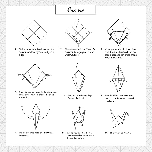 Origami Paper 200 sheets Japanese Woodblock Prints 8 1/4": Extra Large Tuttle Origami Paper: Double Sided Origami Sheets Printed with 12 Different Prints (Instructions for 6 Projects Included) Tuttle Publishing