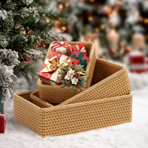 LAVNTM Rattan Storage Basket, 3 Pack Hand Woven Rectangular Fruit Baskets for Serving, Picnic Basket, Wicker Storage for the Living Room Kitchen (Honey Brown) LAVNTM