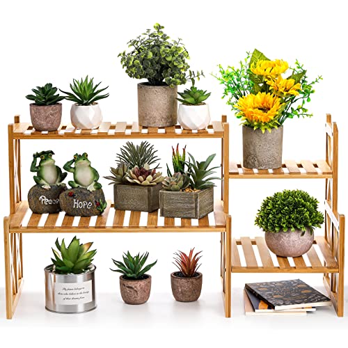 Lawei 2 Tier Bamboo Tabletop Plant Stand, Adjustable Flower Pot Holder Shelf Planter Display Stand, Small Desktop Ladder Plant Rack for Indoor Outdoor Home Patio Lawn Garden Balcony Organizer Lawei