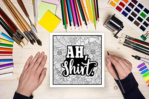 Holy Mother Forking Shirtballs: Clean Swear Word Coloring Book for Adults WoodArtSupply