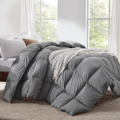 Globon Down Comforter Queen Size,All Season Duvet Insert Ultra-Soft Noiseless Shell,Mediumweight with 8 Corner Tabs, Grey Globon