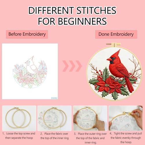 Zhenqing Red Bird Embroidery Kit for Beginners, Pre-Printed 29x29cm Cotton Fabric with 20cm Hoop, Vibrant Holly and Berries Winter Design (C0202)