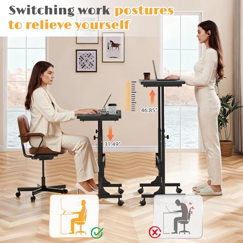 Furmax Small Portable Standing Desk Adjustable Height, Mobile Stand Laptop Computer Workstation with Lockable Wheels for Walking Pad Treadmill (Black) Furmax