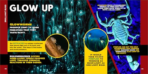 The Fascinating Bug Book for Kids: 500 Startling Facts! (Fascinating Facts) Callisto Kids