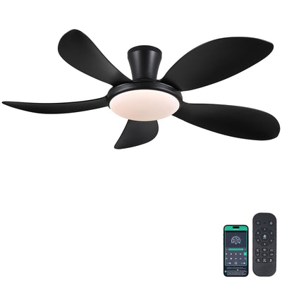 PHORUS 48" Low Profile Ceiling Fan With Lights and Remote/APP, Black With Quiet Reversible DC Motor, Dimmable 3 Colors 6 Speeds, Modern Flush Mount for Bedroom Kitchen