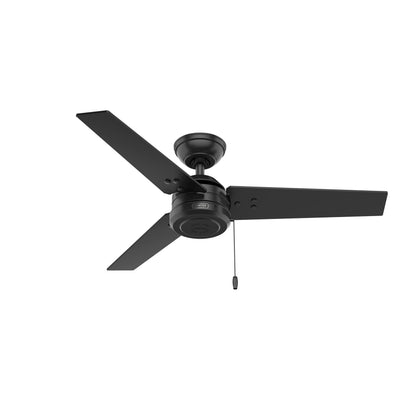 HUNTER 50260 Cassius Outdoor Ceiling Fan with Pull Chain, 44", Matte Black Finish