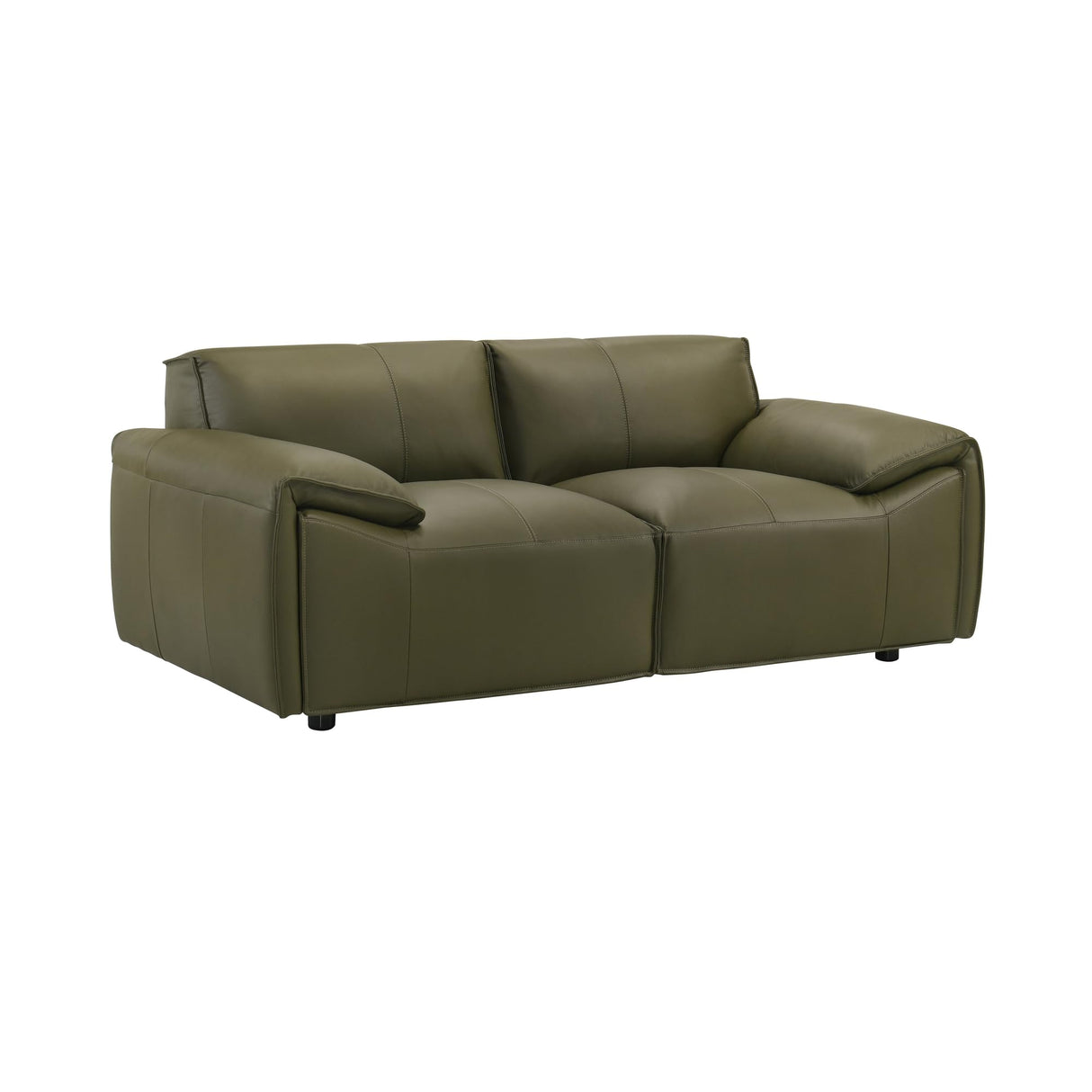 Tanner 74 in. Leather Loveseat with Padded Arms in Green or Khaki Armen Living