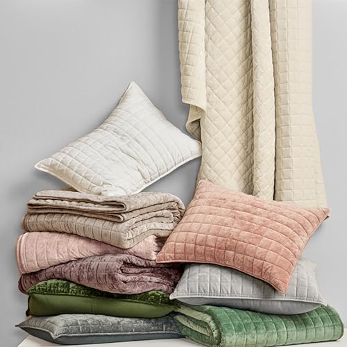 RECYCO Luxury Velvet Quilt Set Full Queen Size Bedding Sets, Ultra Soft Velvet Comforter Set, Lightweight Channel Box Stitch Oversized Bedspread Coverlet for All Season, with 2 Shams, Beige RECYCO