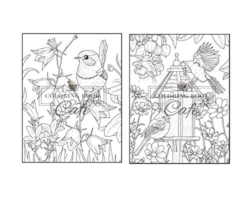 Songbirds Coloring Book: An Adult Coloring Book Featuring Beautiful Songbirds, Exquisite Flowers and Relaxing Nature Scenes Majosta