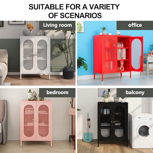 Fumedo 2 Mesh Door Metal Storage Cabinet for Bed Room,Living Room,Home,Hotel,Office,Garage,Kitchen,3-Tier,2 Removable Shelves (Mesh Door Cabinet, Black) Fumedo