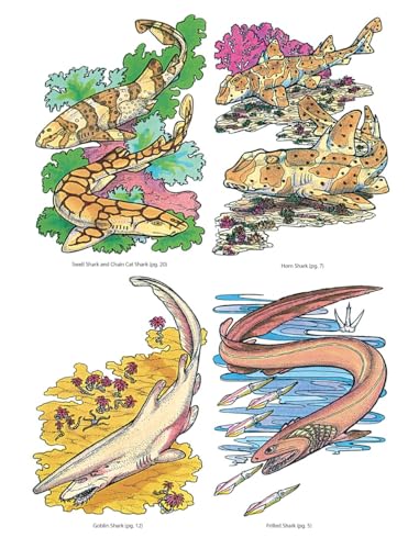 Sharks of the World Coloring Book (Dover Sea Life Coloring Books) Dover Publications