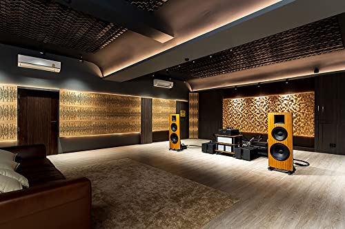 (2 Pack) — Sound Acoustic Studio Diffuser «Sirius» | 2D QRD | Diffusion - Reflection - Absorption - Soundproofing - Insulation | Wall Art Panel | (20"x20"x6" (50x50x15.3cm), Black) ua-acoustics