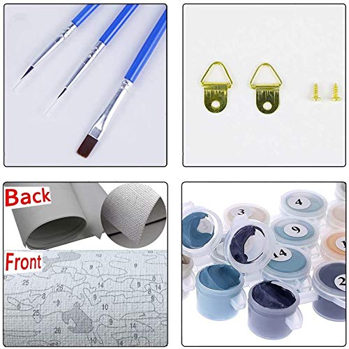 Hiolife Paint by Number Kits for Adults,Kids, Beginners, with Brushes and Acrylic Pigment, 20x16 Inch Tortoise - Frameless Hiolife