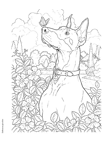 Creative Haven The Dog Lovers' Coloring Book (Adult Coloring Books: Pets) WoodArtSupply