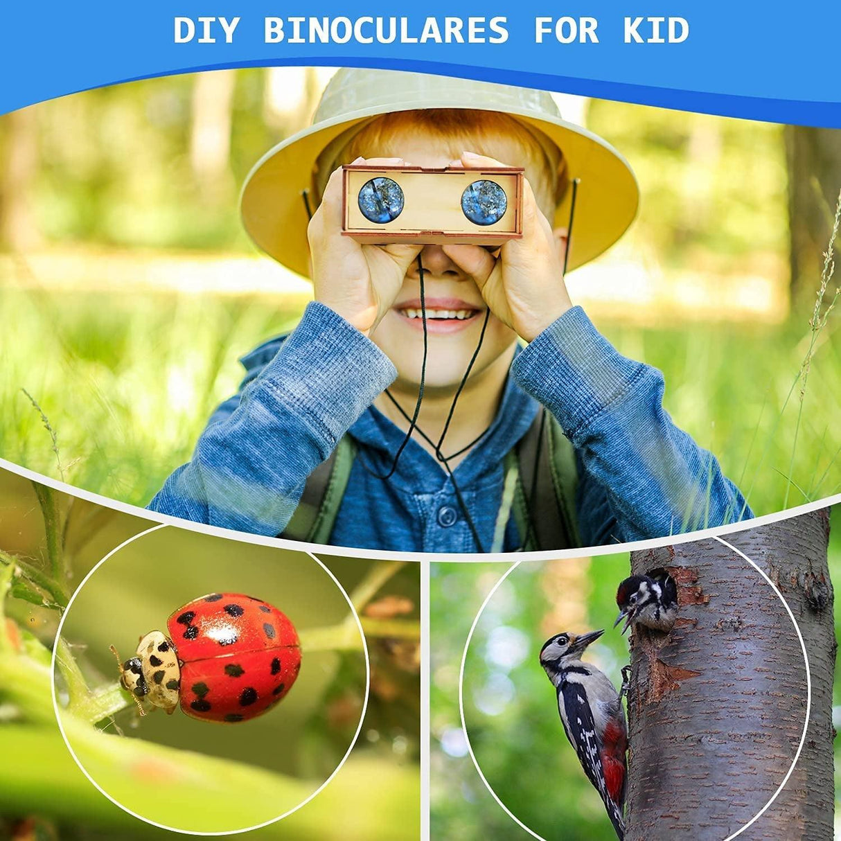 6 in 1 STEM Kit, Science Experiment STEM Projects Educational 3D Wooden Puzzle, DIY Toys Building WoodArtSupply