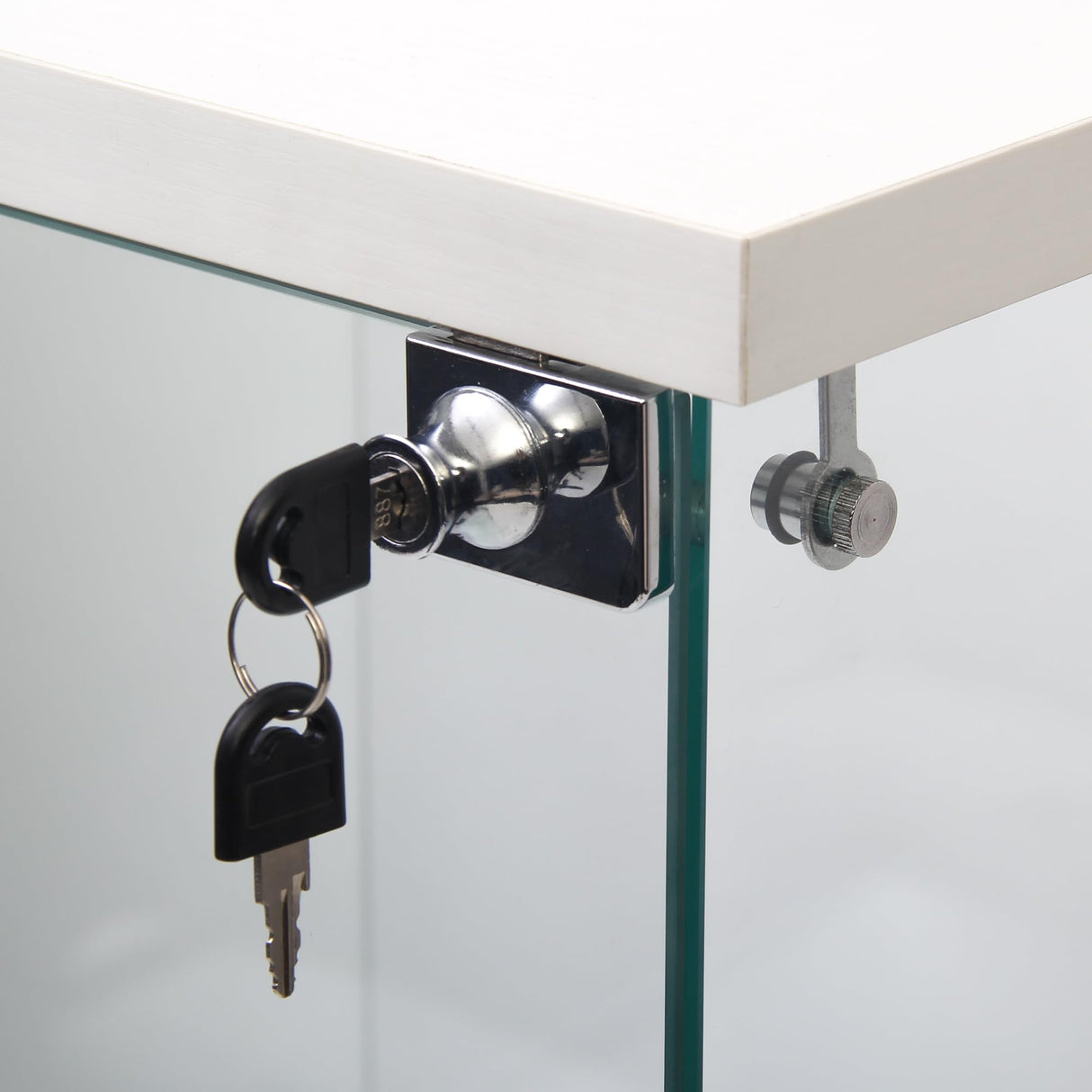 Yoluckea 3 Shelves Glass Display Cabinet with Door, Curio Collection Glass Display Case for Home Office, Floor Standing Bookshelf Corner Cabinet for Book Toys Glory (White) Yoluckea