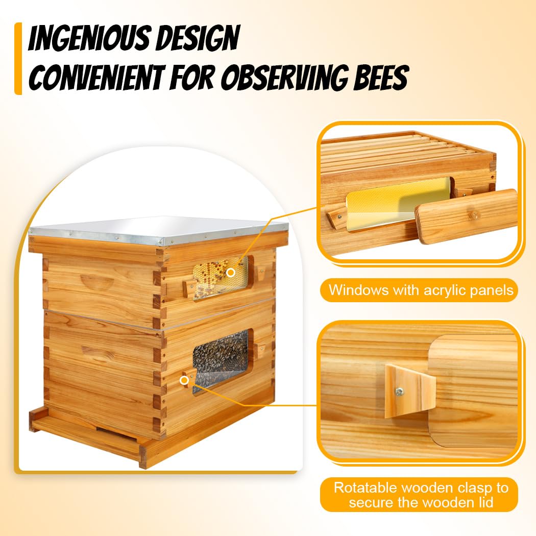 Honey Lake Bee Hive with Windows, 8 Frame Langstroth Complete Beehive Starter Kit Dipped in 100% Beeswax with Beehive Frames and Waxed Foundations (1 Deep Brood Bee Hive Box & 1 Medium Super Bee Box) Honey Lake