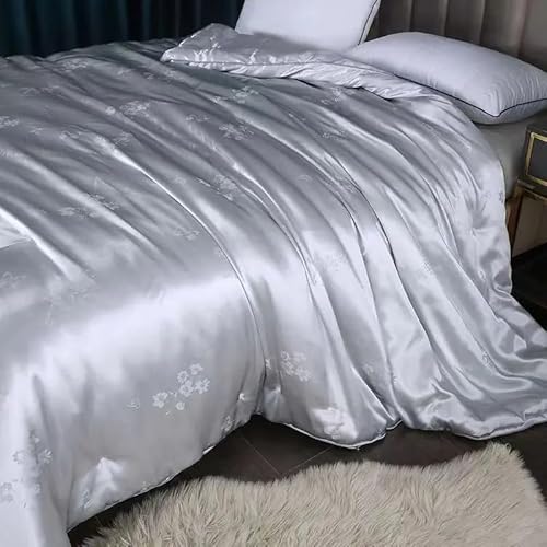 AFPSDLFJDLS Silk Quilts Blanket Twin Queen Size Satin Bedding Comforter for Single Bed Cover Duvets AFPSDLFJDLS