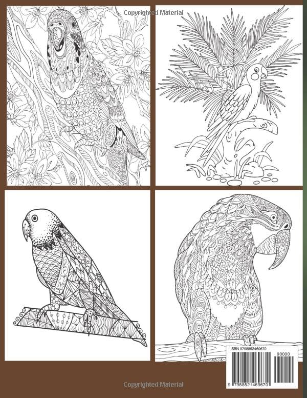 Parrots & Parakeet Acults coloring: An adults Parrots & Parakeet's Coloring Book With Best Parrots & Parakeet's Design For Stress Reliving And Relaxing) Majosta