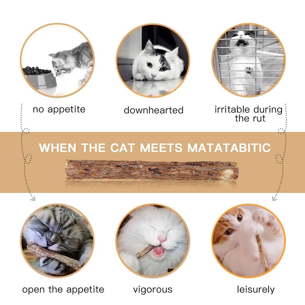 WoLover Silvervine Sticks for Cats, Natural Catnip Matatabi Chew Sticks Teeth Molar Chew Toys for Cat Kitten Kitty (at Least 12 PCS) WoLover