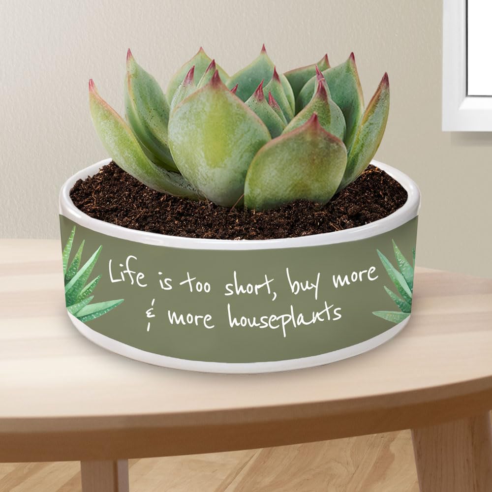 Johnson Plastics Plus White Ceramic Sublimation Bowl for Dye Transfer (Seven Inch, 1, Count) Johnson Plastics Plus