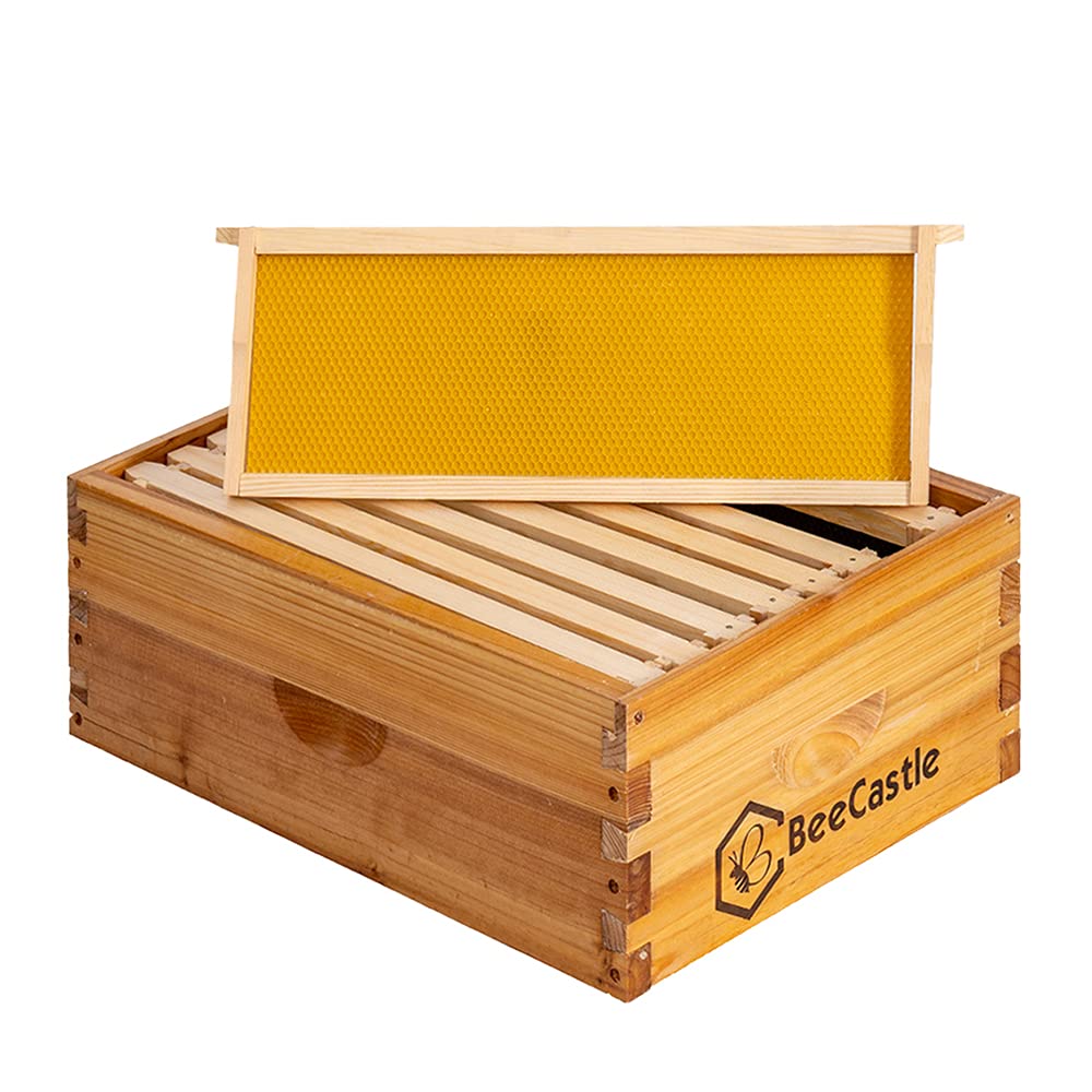 BeeCastle 8 Frame Medium Super Bee Hive Box, Langstroth Honey Bee Hive Dipped in 100% Beeswax Include Beehive Frames and Wax Foundations (Unassembled) BeeCastle