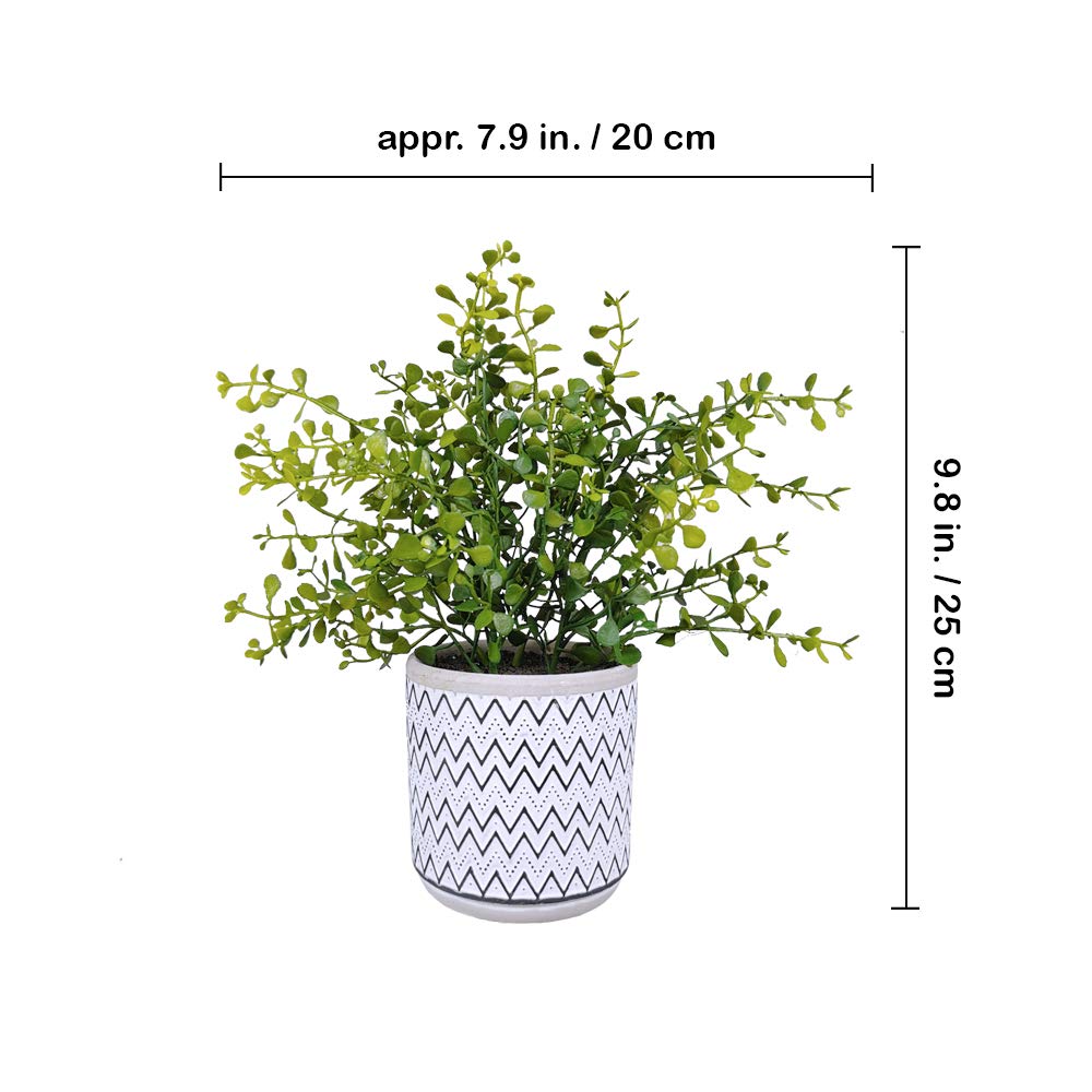 Winlyn 2 Pack Small Potted Eucalyptus Plant Artificial Plants Green Boxwood Rosemary Greenery in Modern Concrete Plant Pots Winlyn