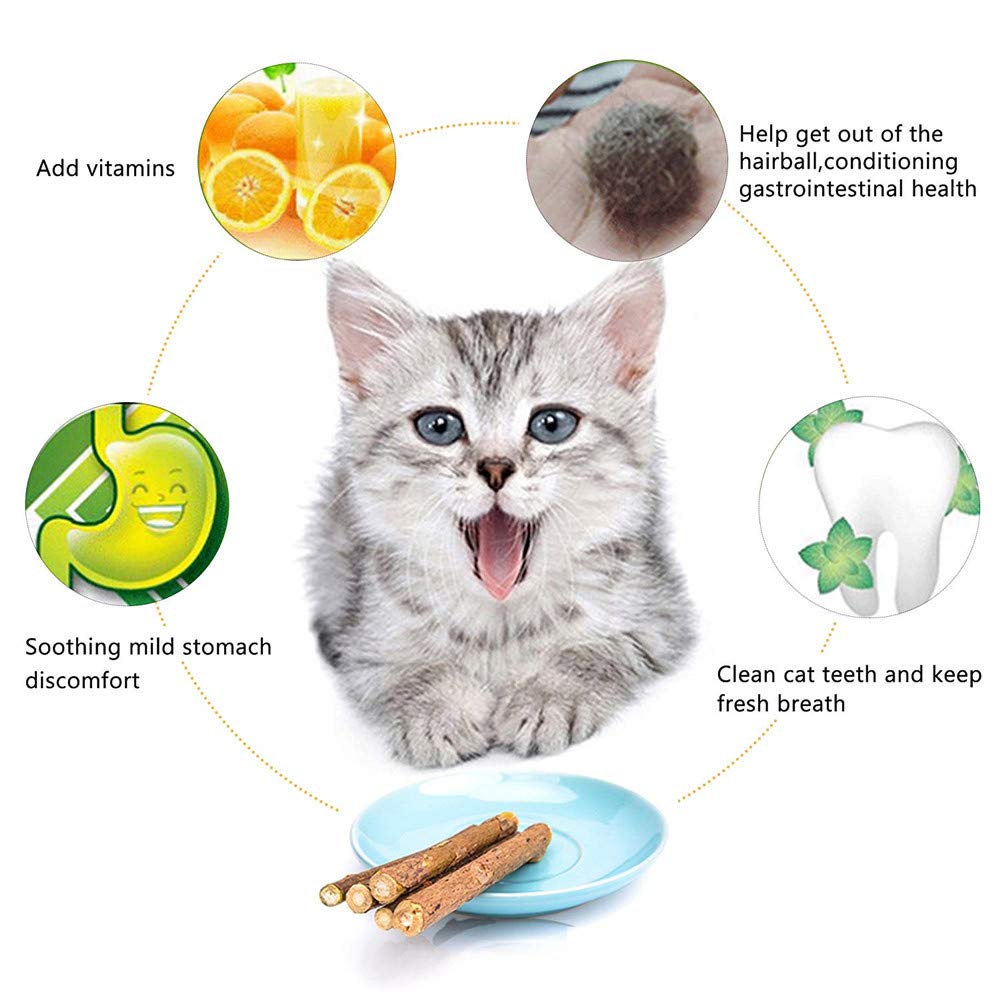 WoLover Silvervine Sticks for Cats, Natural Catnip Matatabi Chew Sticks Teeth Molar Chew Toys for Cat Kitten Kitty (at Least 12 PCS) WoLover
