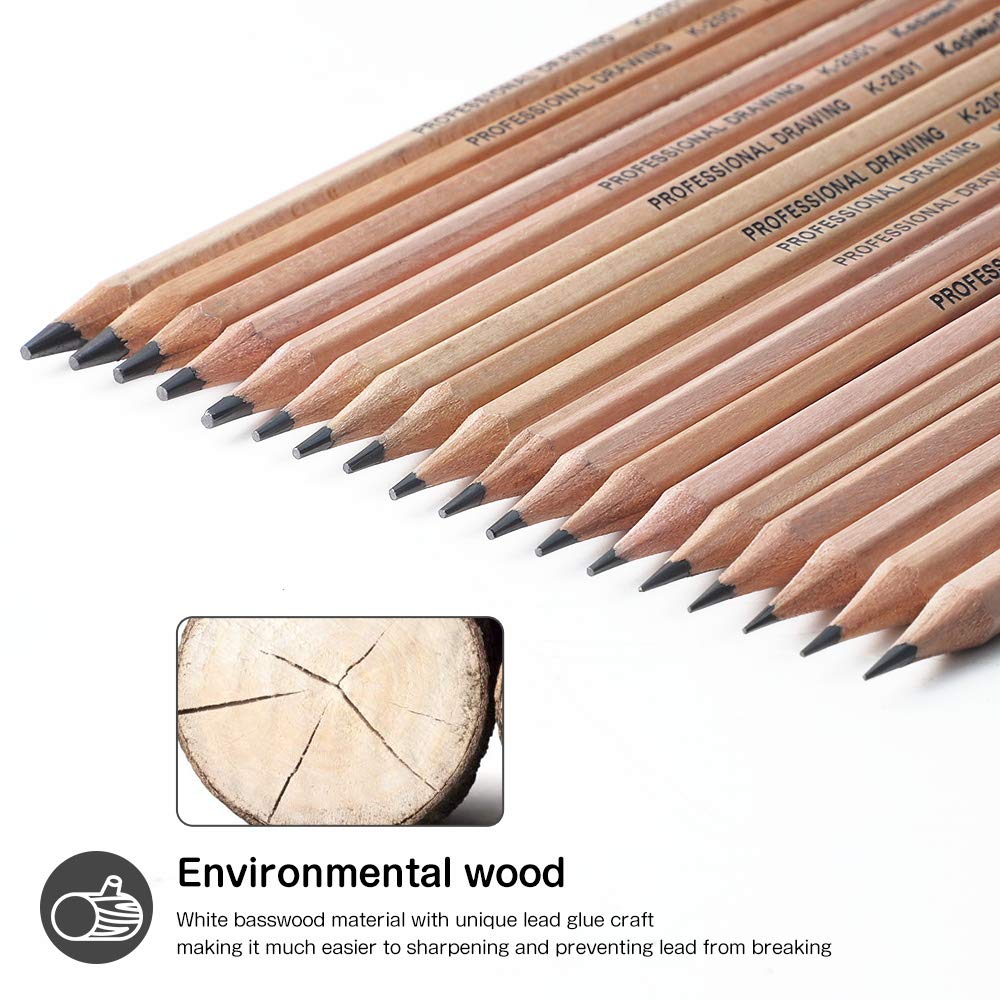 Drawing Pencils, Sketch Pencils Graphite 12B 8B 7B 6B 5B 4B 3B 2B B HB 2H and Charcoals Art Supplies for Sketching and Drawing,Pencil Set for Artists or Kids SouthStar
