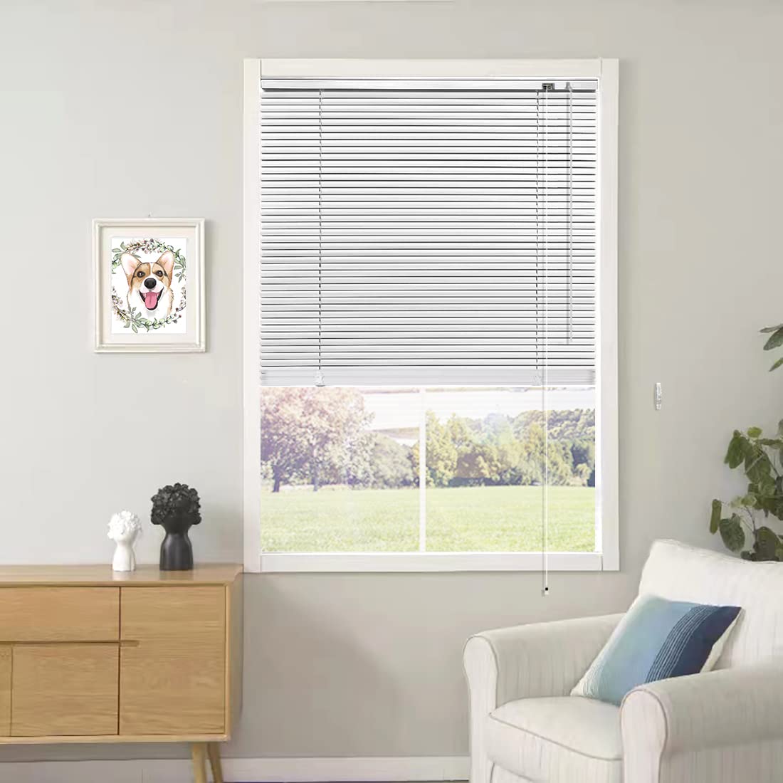 YIIBAII Mini Blinds Suitable for 26" W x 64" H Windows 1" Aluminum Horizontal Venetian Blinds Darkening with Rope and Pole can Mounted Inside or Outside YIIBAII