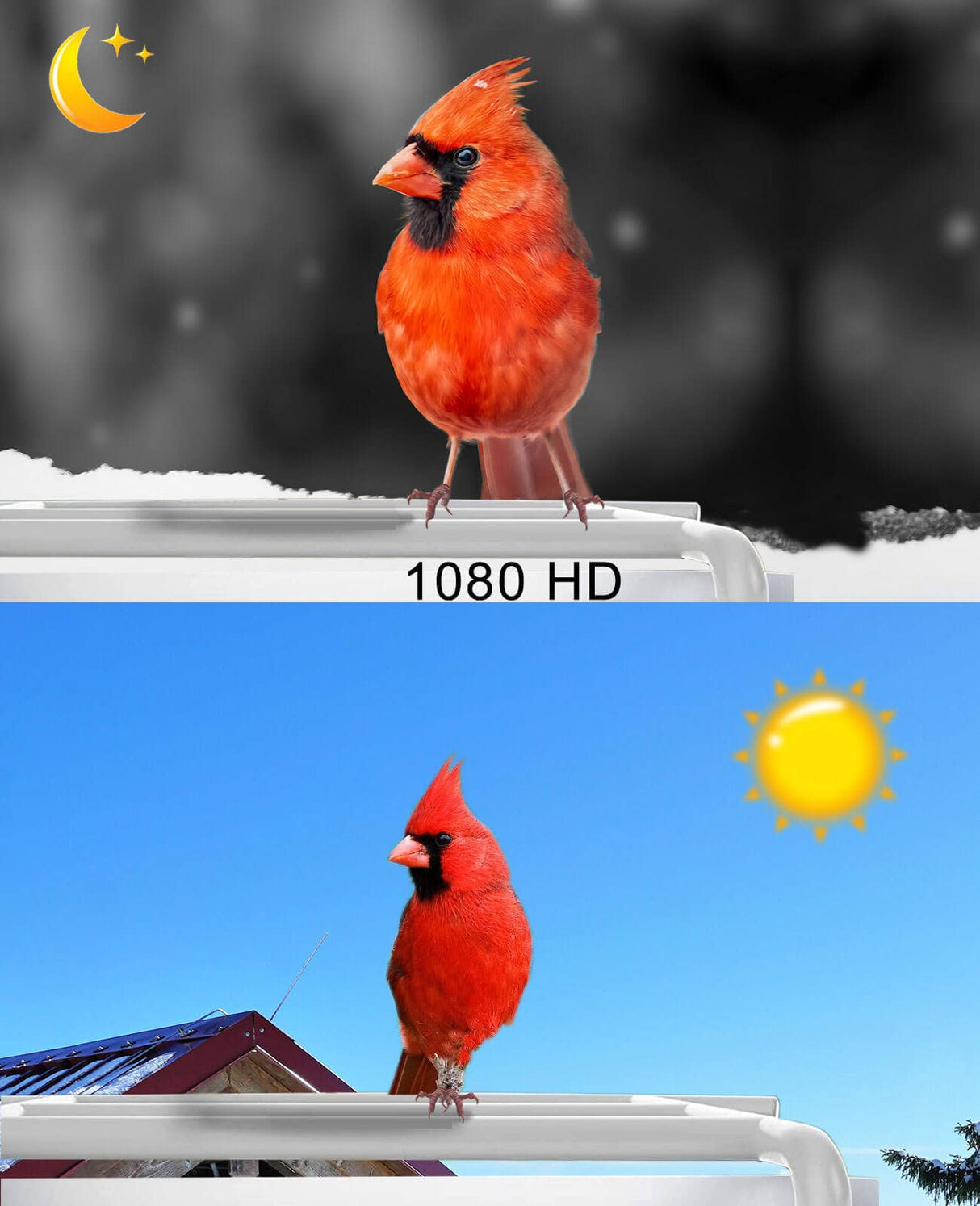 Smart Bird Feeder with Camera Wireless Outdoor, Feeders for Outside, Solar Energy Generation, 1080P HD, APP Connection, IP65 Waterproof, AI Identify GOUHOME