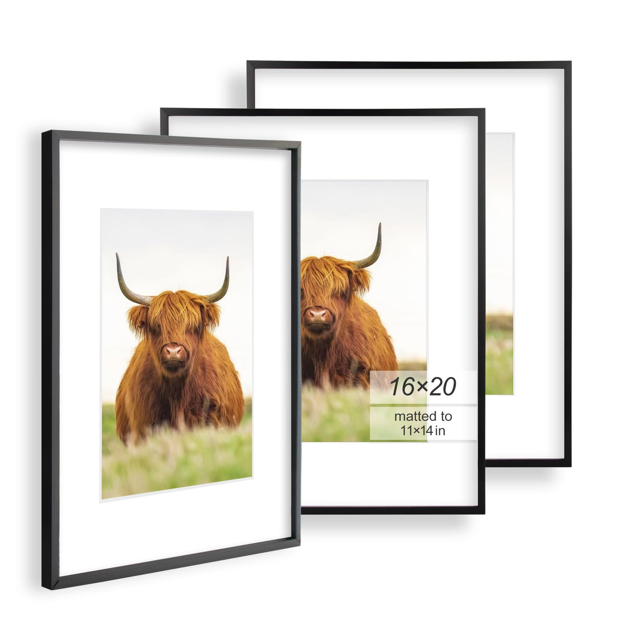 Golden State Art, 16x20 Picture Frame Set of 3, Black Thin Border Photo Frame, Display Pictures 11x14 with Mat or 16x20 Without Mat, Poster Frame for Wall Hanging Horizontal and Vertical Golden State Art