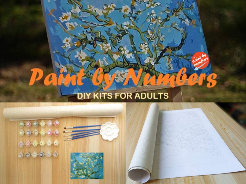 Roses - Paint by Number Kit - 16"x20" (40x50cm) - DIY Acrylic Painting Home Decor My Paint by Numbers