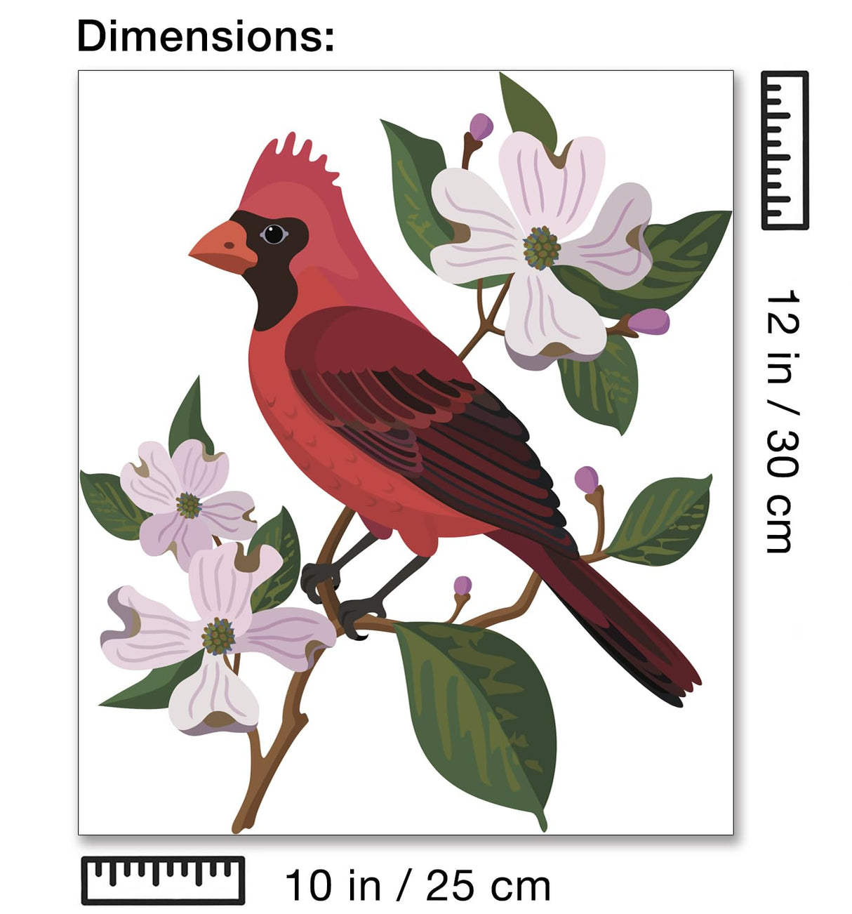 CraftLab Wild Birds Paint by Numbers Kit for Adults Teens Beginners, DIY Painting Accessories, Brushes Acrylic Paints, Stretched Canvas 10 x 12 inch Gift (Cardinal & Dogwood) CraftLab