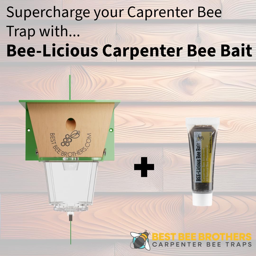 Best Bee Brothers Ultimate Carpenter Bee Trap for Outside with Large, Clear External Bee Vault & Spring-Loaded Door, 5.75" L x 6" W x 4.5" H Best Bee Brothers