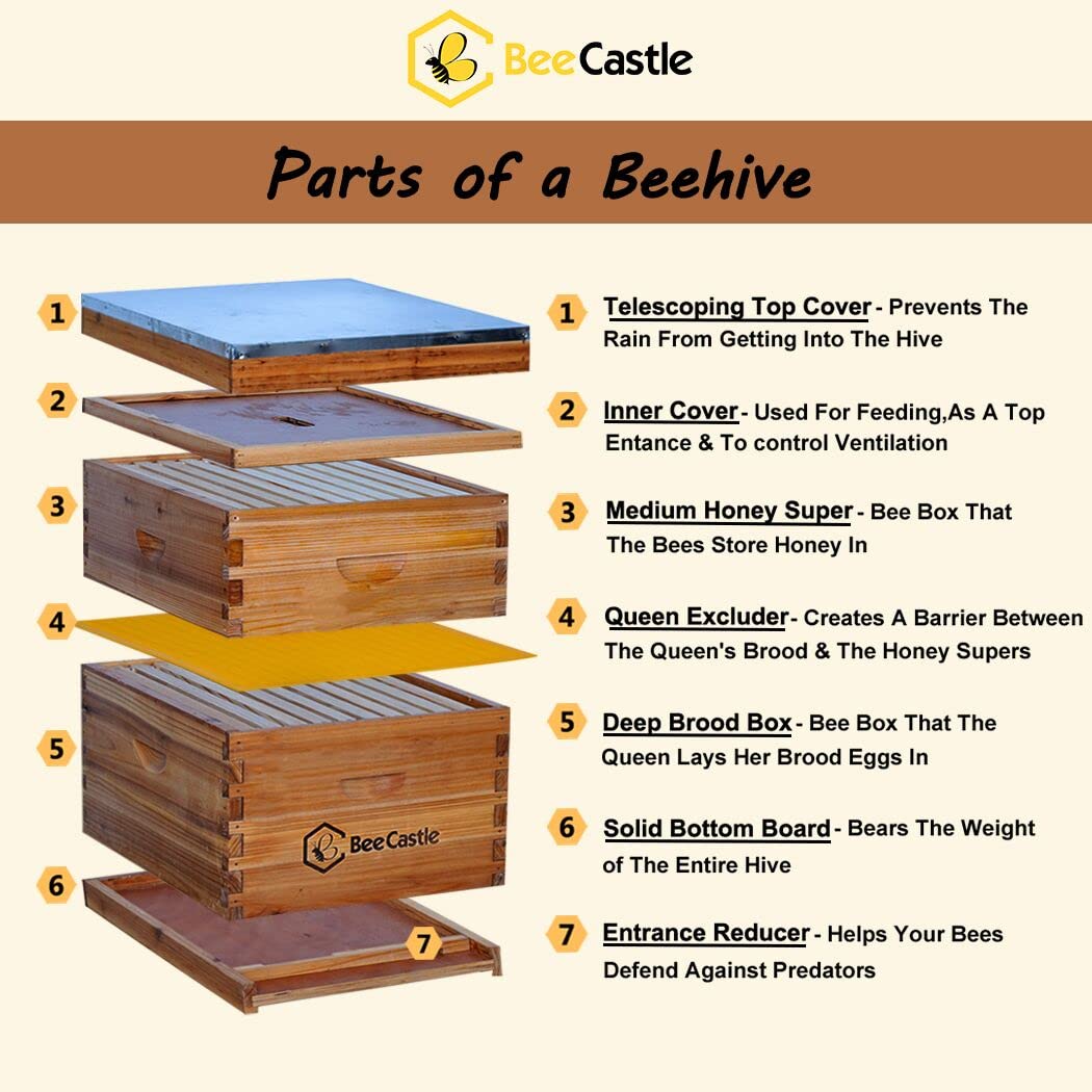 BeeCastle 10-Frames Complete Beehive Kit, 100% Beeswax Coated Bee Hive Includes Beehive Frames and Beeswax Coated Foundation Sheet (2 Layer) BeeCastle