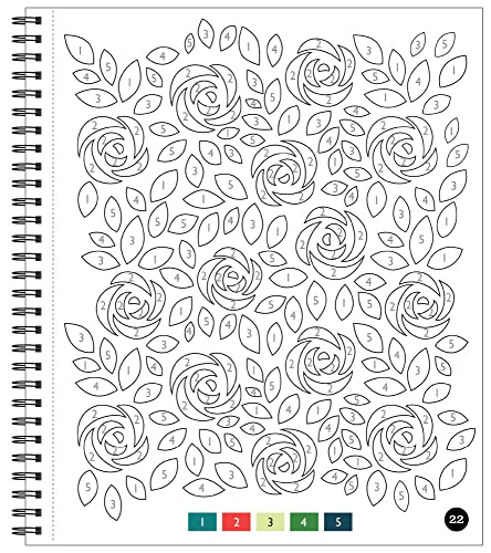 Brain Games - Color by Number - Large Print: Patterns (Stress Free Coloring Book) WoodArtSupply